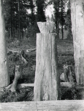 Rovaniemen mlk., Kalapatsas. Kuva: Christian Carpelan ja Martti Linkola 1958, Museovirasto.