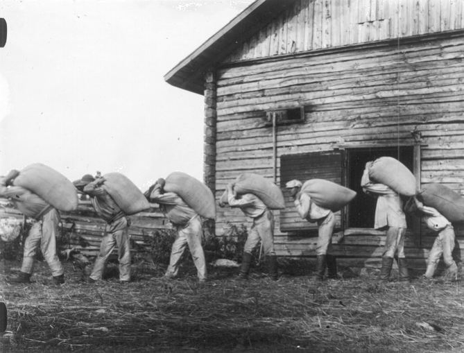 Miehet kantavat s�kkej� riihest�. Valokuvaaja: V�in� Puurunen. Kuopion kulttuurihistoriallisen museon kokoelmat.