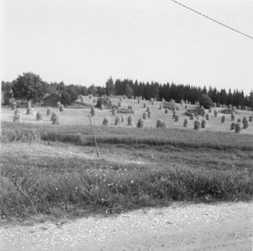 Lapinlahti, V�is�l�nm�ki. Maisema V�is�l�nm�elt�. Kuvausaika: 1972. Valokuvaaja: Rauni S�is�. Kuopion kulttuurihistoriallisen museon kokoelmat