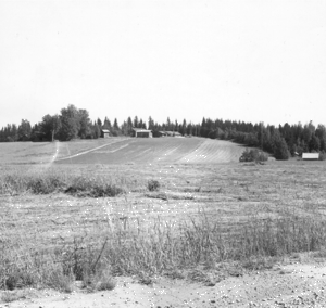 Maaninka, Lappetel� Lepp�joen kyl�. Kuopion kulttuurihistoriallisen museon kokoelmat.