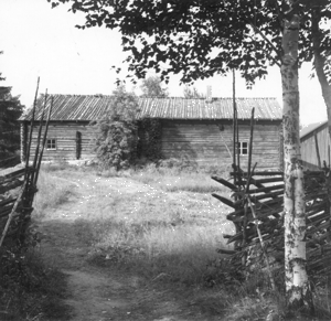 Nilsi� Aholansaari. Kuopion kulttuurihistoriallisen museon kokoelmat.