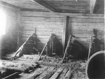 Maaninka, Pohjois- Haatala. Peltolan (Ristolan) navetasta. Kuvausaika: 1926-28. Valokuvaaja: Ahti Rytk�nen. Kuopion kulttuurihistoriallisen museon kokoelmat.