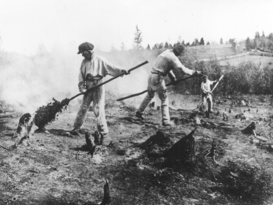 Sonkaj�rvi. Kaskenviertoa V�linirim�ell�. Kuvausaika: 1916. Valokuvaaja: V�in� Puurunen. Kuopion kulttuurihistoriallisen museon kokoelmat.�