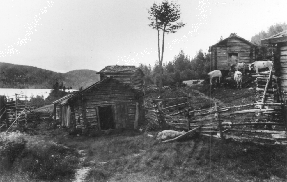 Pisan m�kki. Kuvausaika: 1890-93. Valokuvaaja: Karl Granit. Kuopion kulttuurihistoriallisen museon kokoelmat