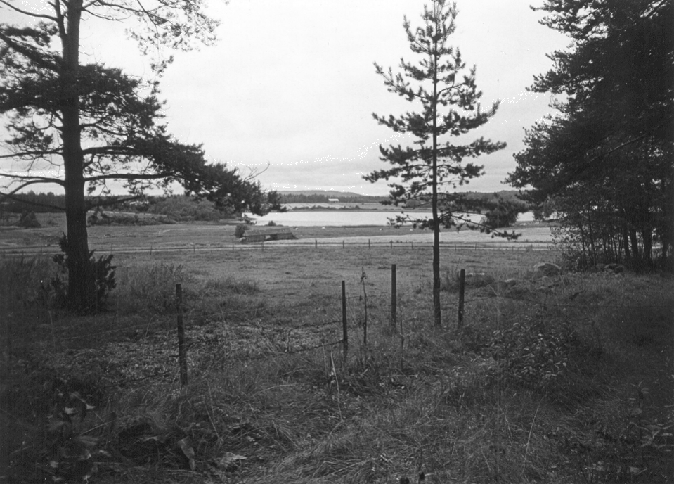 N�kym� ent. Karvasalmen koulun takaa l�nteen p�in avautuva maisema. Kuvausaika: 11.08.1986. Valokuvaaja: Helena Riekki. Kuopion kulttuurihistoriallisen museon kokoelmat.